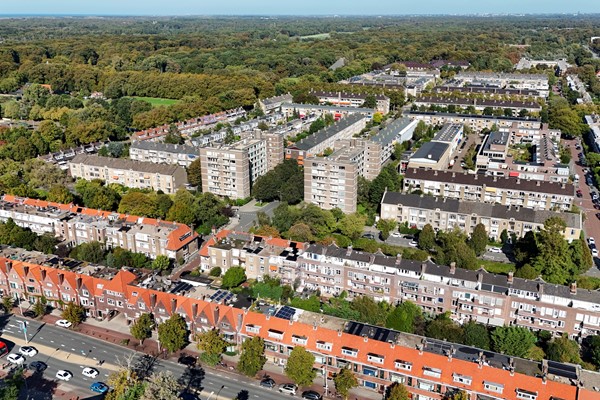 Medium property photo - Hart Nibbrigkade 64, 2597 XX Den Haag